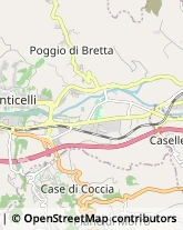 Autofficine e Centri Assistenza,63100Ascoli Piceno