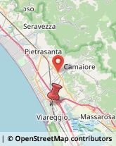 Via Amatore Sciesa, 14/a,55049Viareggio