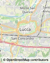 Trasporto Pubblico,55100Lucca