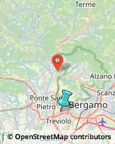 Pelletterie - Dettaglio,24035Bergamo