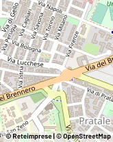 Via di Pratale, 3,56127Pisa