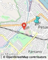 Palestre e Centri Fitness,61121Pesaro e Urbino