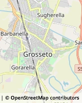 Viale Giuseppe Giusti, 64,58100Grosseto