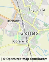 Agenzie di Animazione e Spettacolo,58100Grosseto