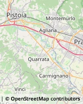 Ortofrutticoltura,51039Pistoia