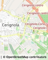 Via Lucca, 8,71042Cerignola