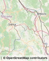 Assicurazioni,53048Siena