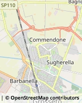 Via Svezia, 21,58100Grosseto