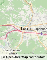 Via delle Suore, 11,55013Capannori