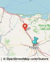 Gomma Articoli - Dettaglio,71121Foggia