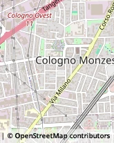 Via Guglielmo Marconi, 8,20093Cologno Monzese