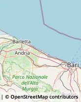 Agenzie di Animazione e Spettacolo,76123Barletta-Andria-Trani