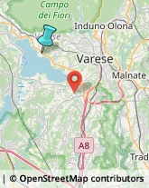 Impianti Antifurto e Sistemi di Sicurezza,21026Varese