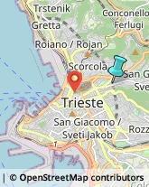 Rosticcerie e Salumerie,34126Trieste