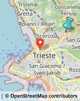 Rosticcerie e Salumerie,34127Trieste