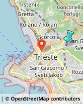 Rosticcerie e Salumerie,34126Trieste