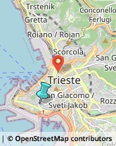 Rosticcerie e Salumerie,34143Trieste