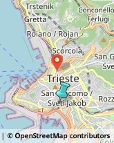 Rosticcerie e Salumerie,34144Trieste