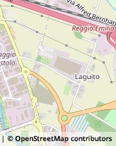 Via Bernardino Ochino, 15,42124Reggio nell'Emilia