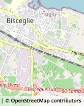 Via Lama di Macina, 13,76011Bisceglie