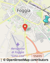 Logopedia,71122Foggia