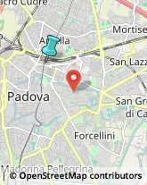 Consulenza Informatica,35100Padova