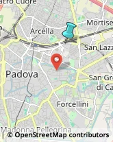 Consulenza Informatica,35131Padova