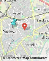 Articoli da Regalo - Dettaglio,35137Padova