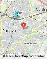 Consulenza Informatica,35131Padova