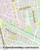 Viale Europa, 55,58100Grosseto