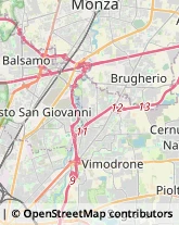 Viale Lombardia, 8,20861Brugherio