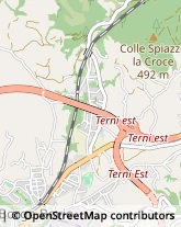 Autotrasporti,05100Terni