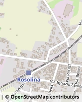 Viale Guglielmo Marconi, 20,45010Rosolina