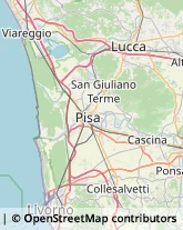 Poste,56021Pisa