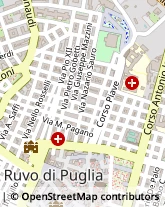 Via Mazzacane, 42,70037Ruvo di Puglia