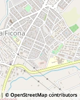 Via della Lega, 61,00052Cerveteri