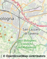 Infermieri ed Assistenza Domiciliare,40068Bologna