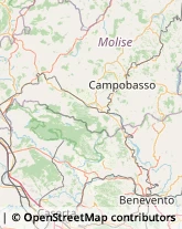 Viale Principe di Piemonte, 33,86100Campobasso