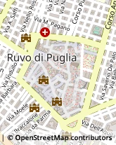 Via Le Monache, 8,70037Ruvo di Puglia