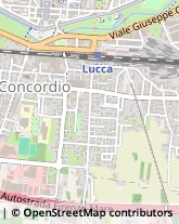 Via Formica, 114,55100Lucca