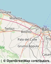 Trasporti Aerei,70056Bari