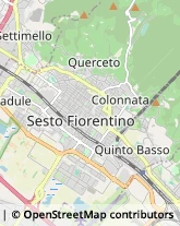 Estetiste,50019Firenze