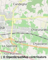 Via Lando Landucci, 8,51100Pistoia