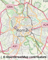 Via Cipro, 81,00136Roma