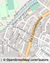 Via Circonvallazione, 15,10090Gassino Torinese