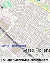 Via Donatello, 54,50019Sesto Fiorentino