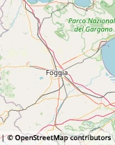 Psicoanalisi - Studi e Centri,71013Foggia