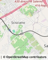 Via Giuseppe Garibaldi, 59,80030Scisciano