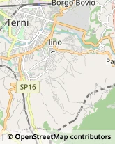 Autotrasporti,05100Terni