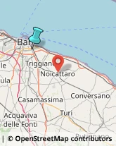 Ricerca e Selezione del Personale,70126Bari